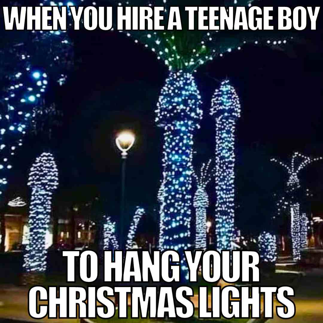 palm tree christmas lights meme when you hire a teenage boy to hang your christmas lights