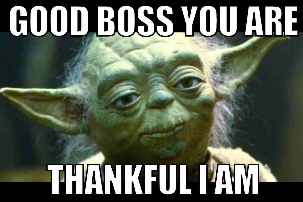 thank you boss meme Meme featuring Yoda with text 'Good boss you are, thankful I am,' playfully expressing gratitude in Yodaspeak.