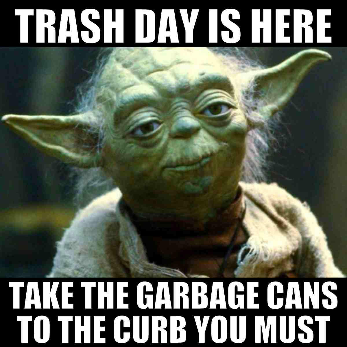 trash day meme trash day is here take the garbage cans to the curb you must