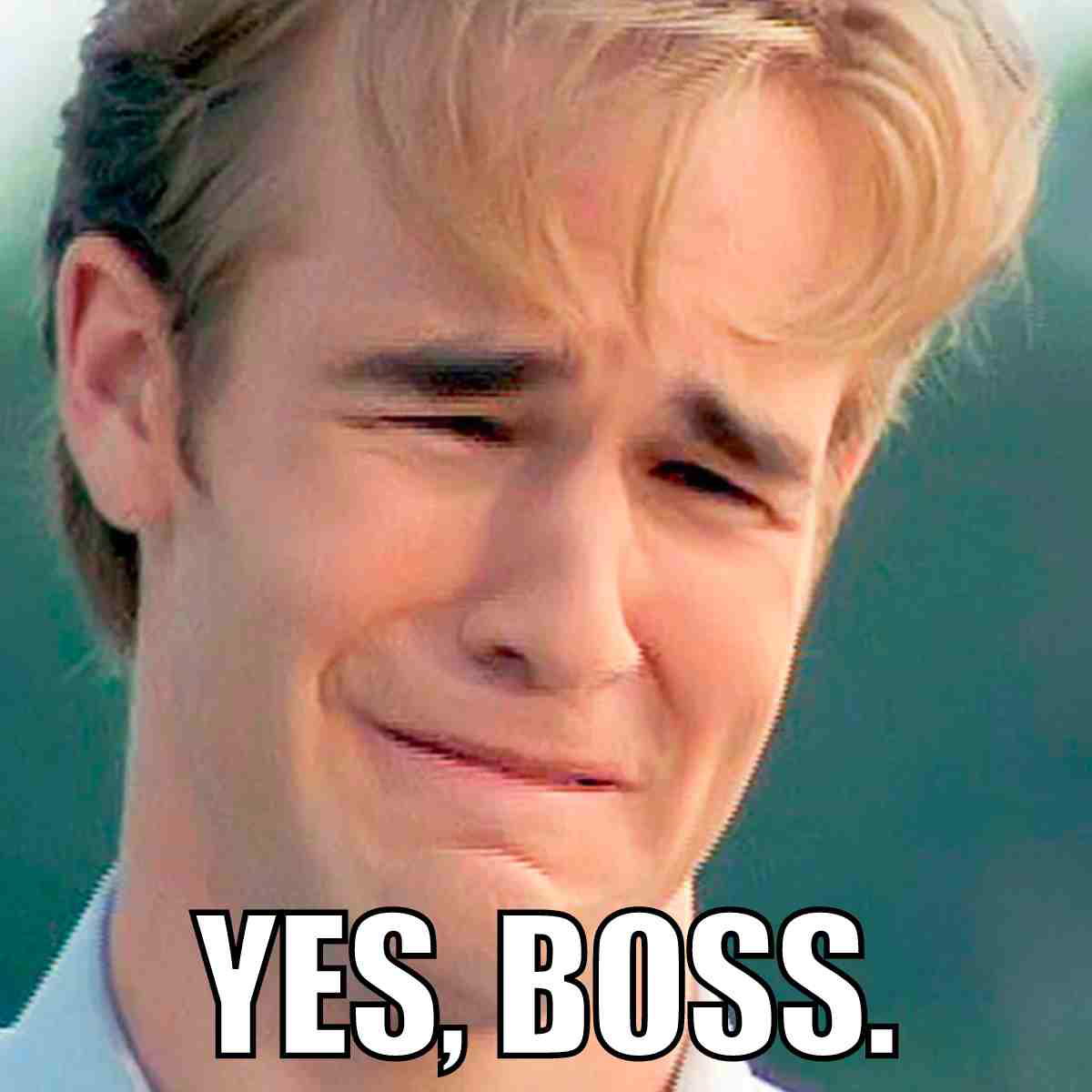 yes boss meme yes boss meme