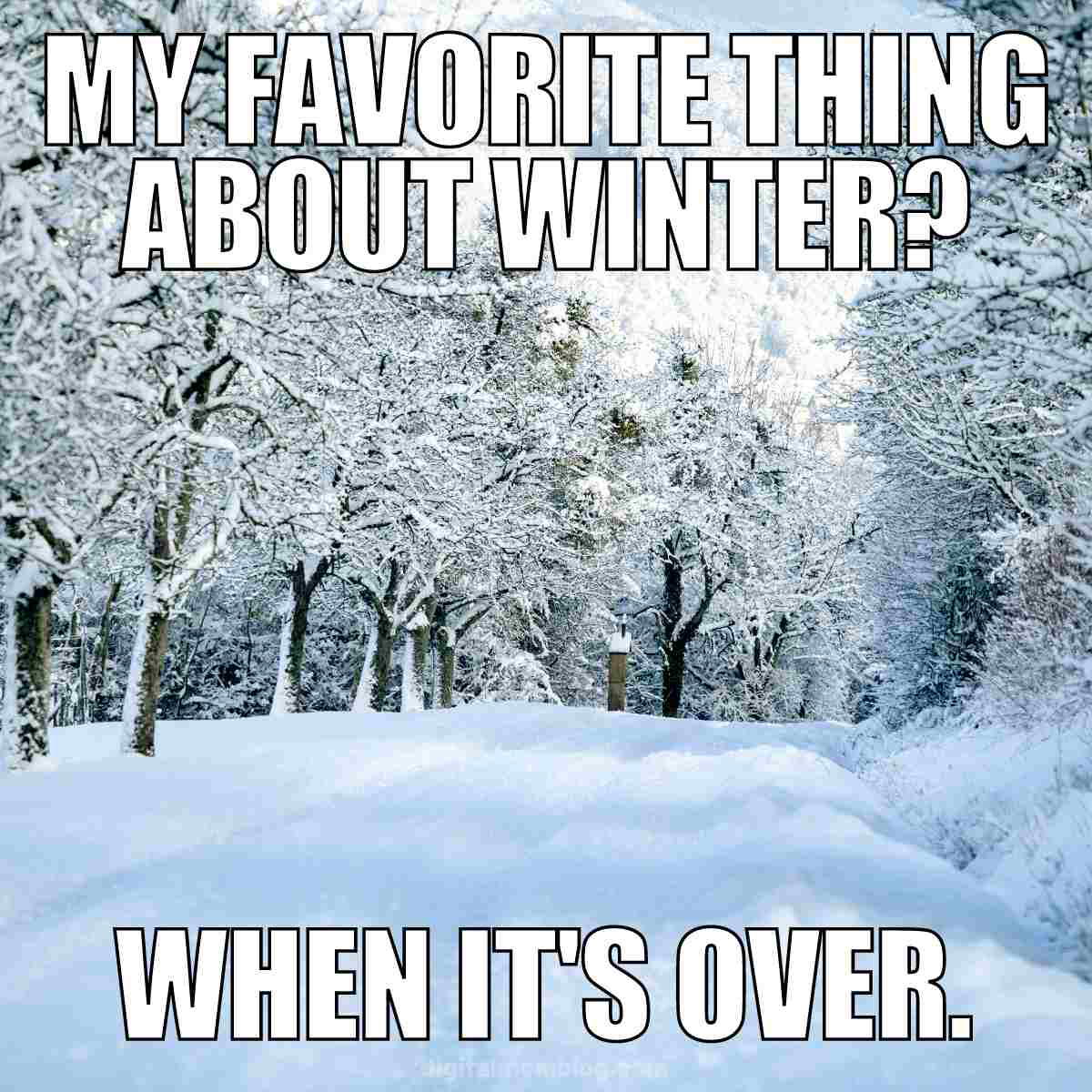 best winter meme 2022 Funny winter meme with a snowy road lined by trees, captioned "My favorite thing about winter? When it's over." Perfect for a little seasonal sarcasm!