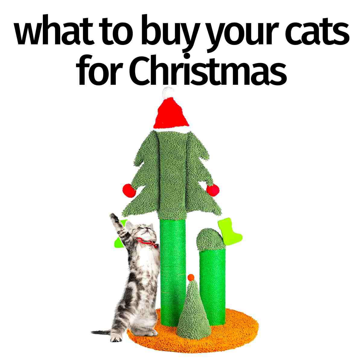 cat christmas gift cat christmas gift