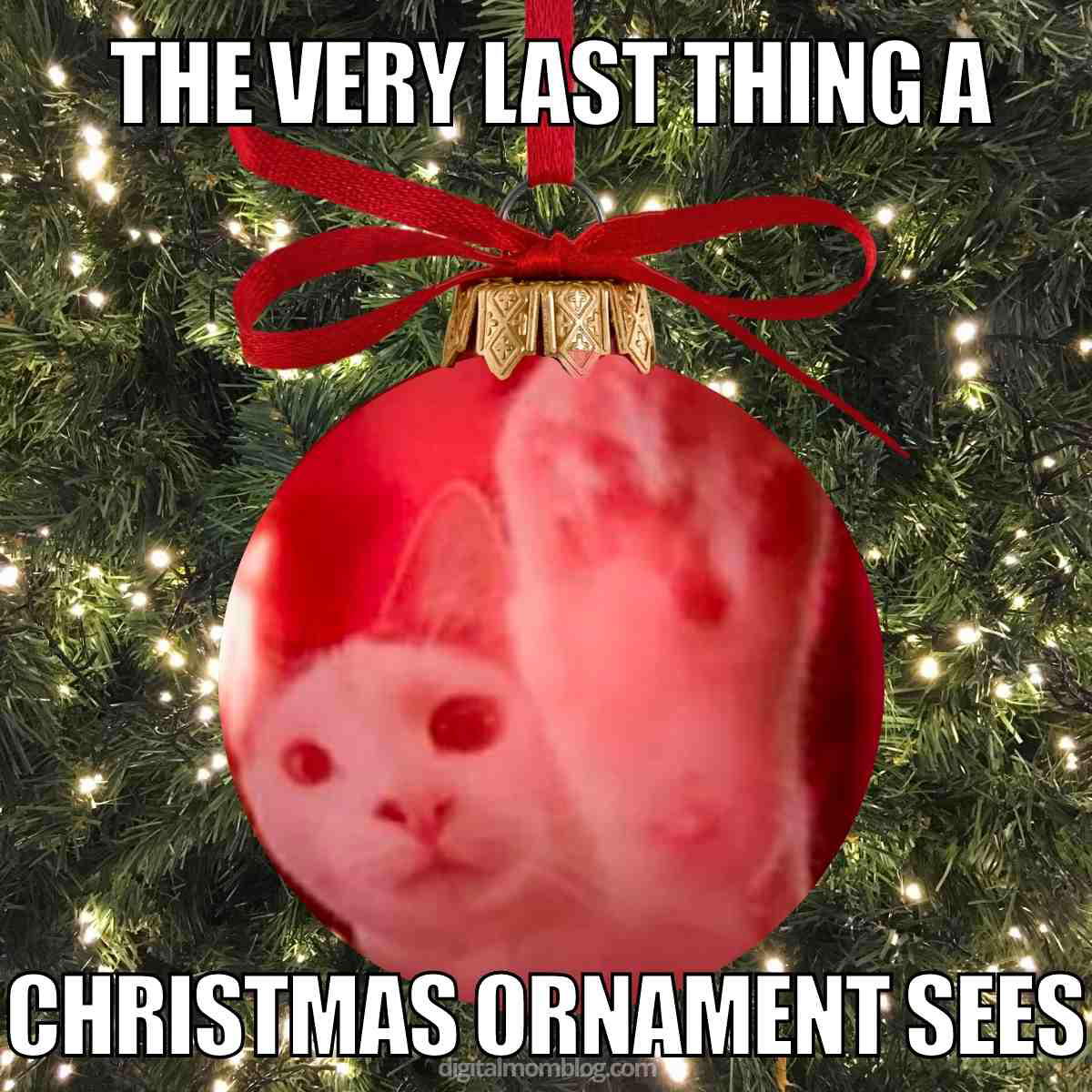 cat christmas ornament meme the very last thing a Christmas ornament sees