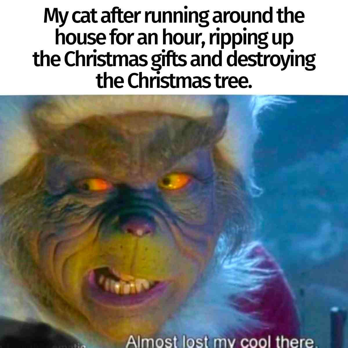 cat christmas tree meme funnyjpg my cat after running around the house for an hour ripping the christmas gifts and destroying the christmas tree
