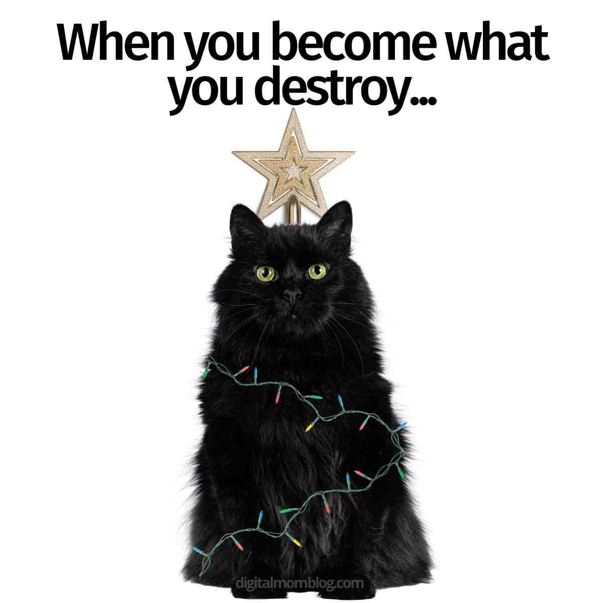 cat christmas tree meme when you become what you destroy