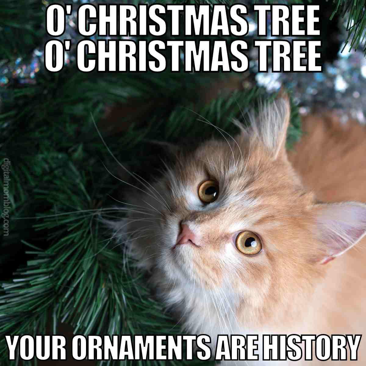 cat destroying christmas tree meme o christmas tree o christmas tree, your ornaments are history