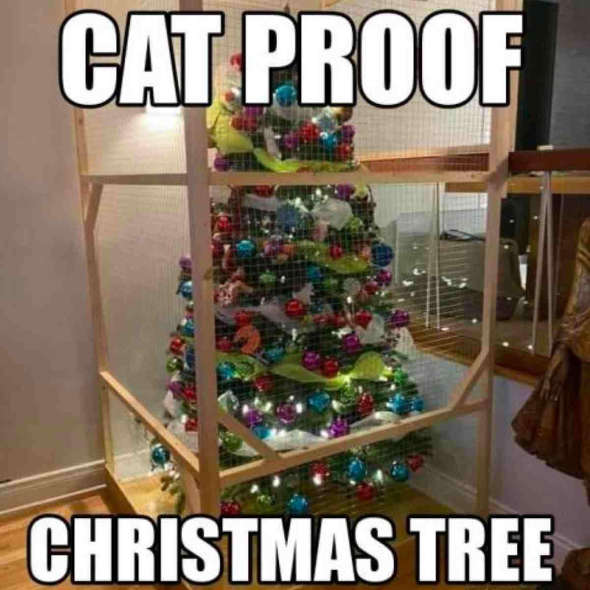cat proof christmas tree meme cat proof christmas tree