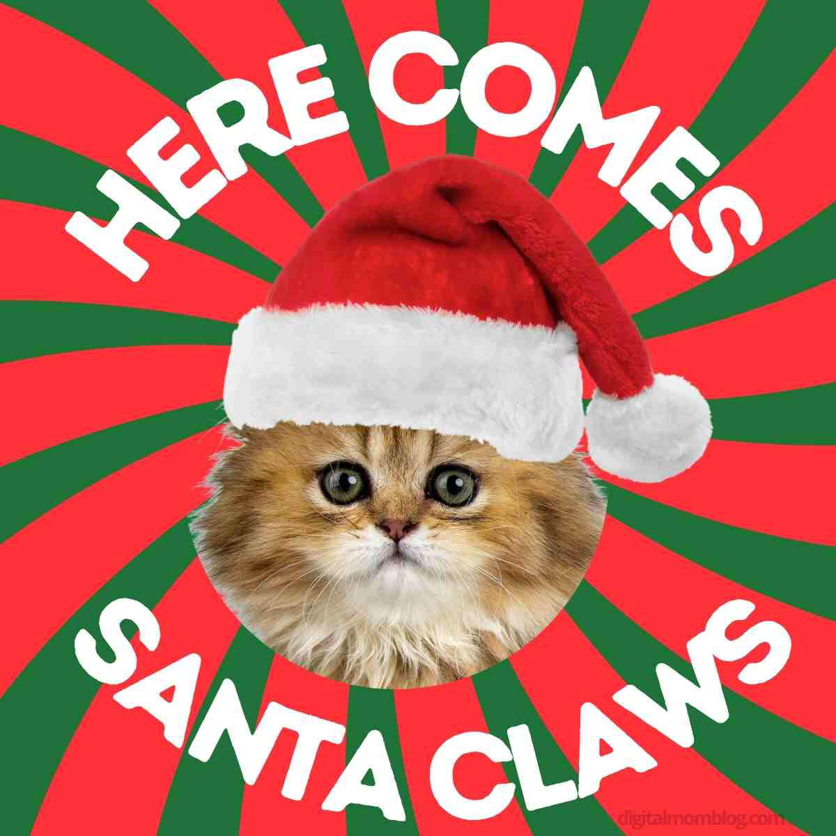christmas cat meme here comes santa paws