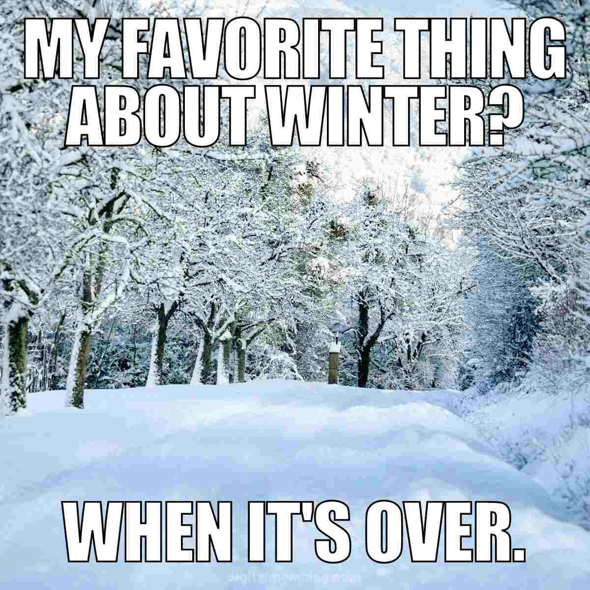 december 22 meme december 22 meme my favorite thing about winter? When it's over.