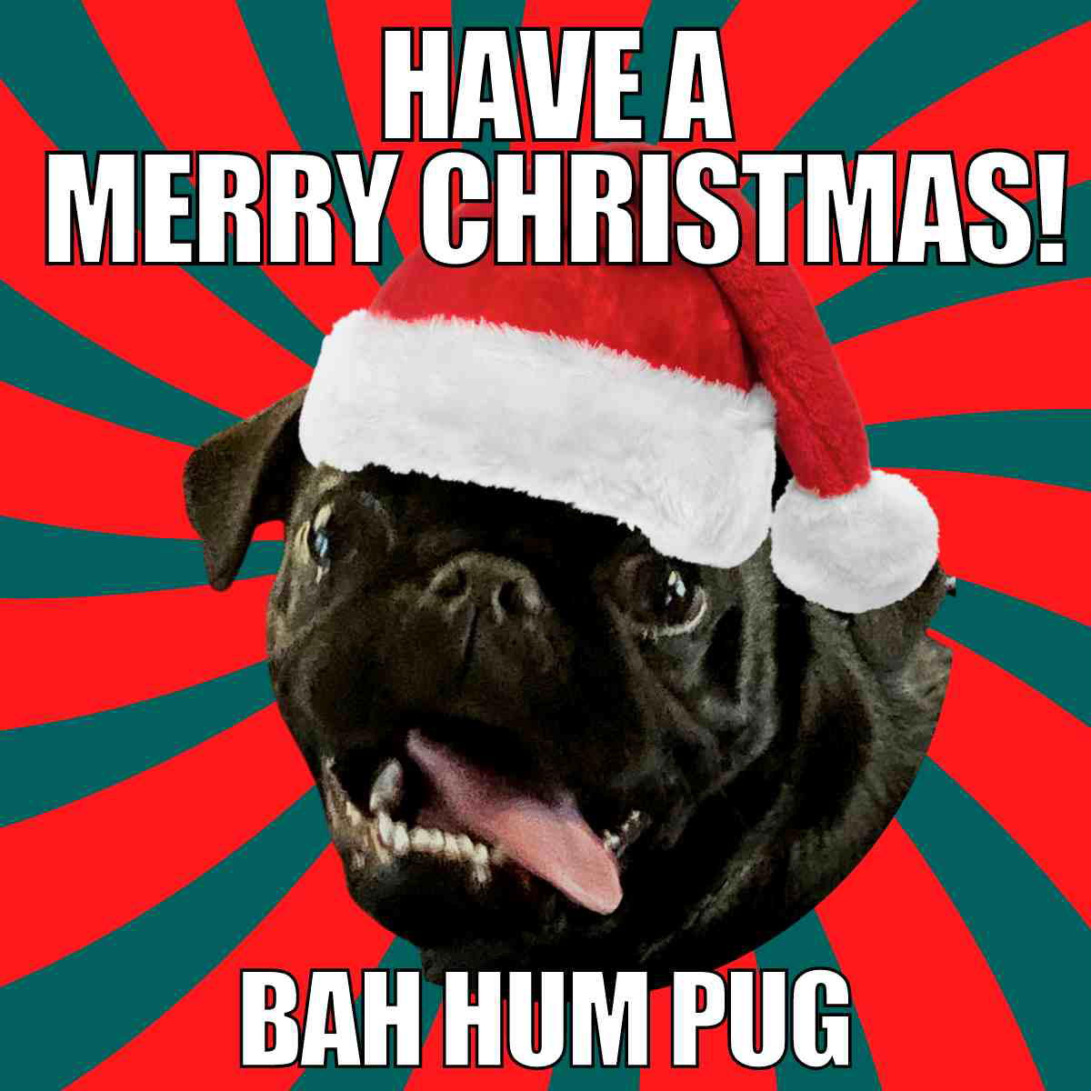 december 25 meme december 25 meme