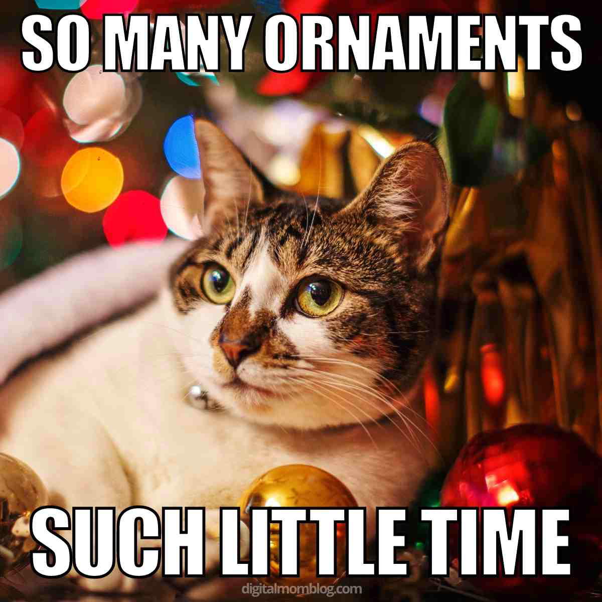 holiday cat meme so many ornaments such little time