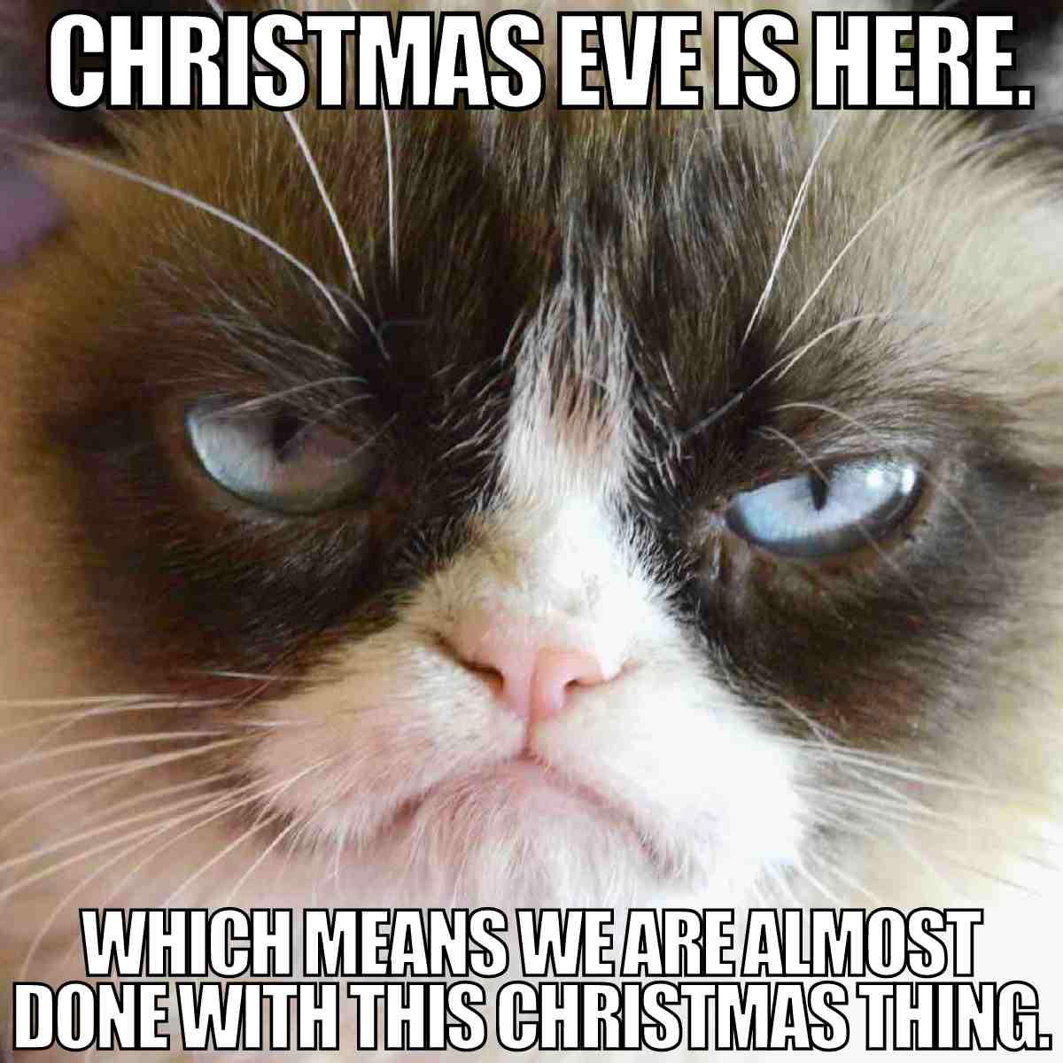 i hate christmas meme i hate christmas meme