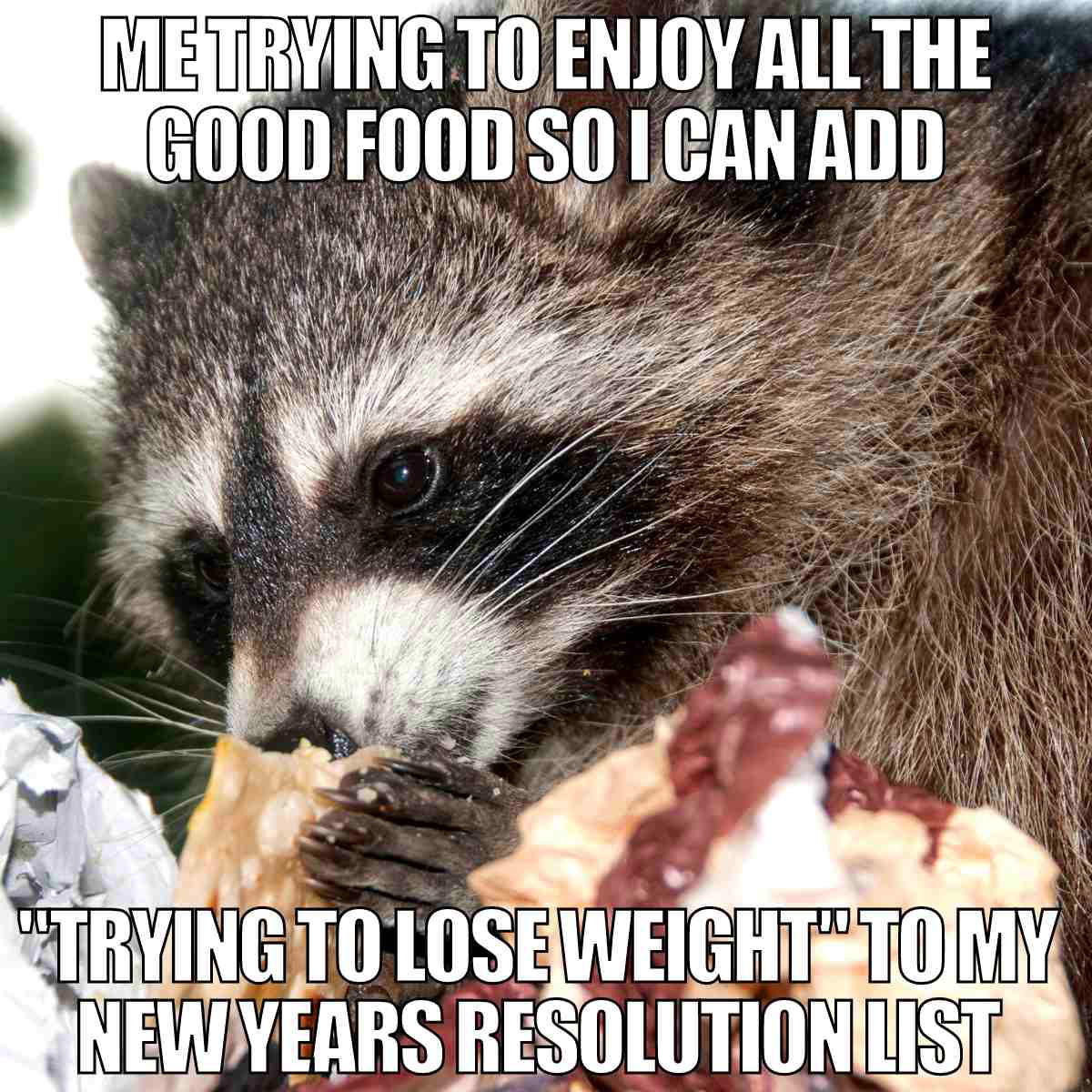 losing weight new year meme me trying to enjoy all the good food so i can add trying to lose weight to my new years resolution list