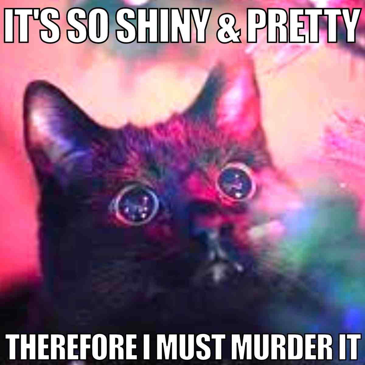 meme cat christmas it's so shiny and pretty therefore i must destroy it