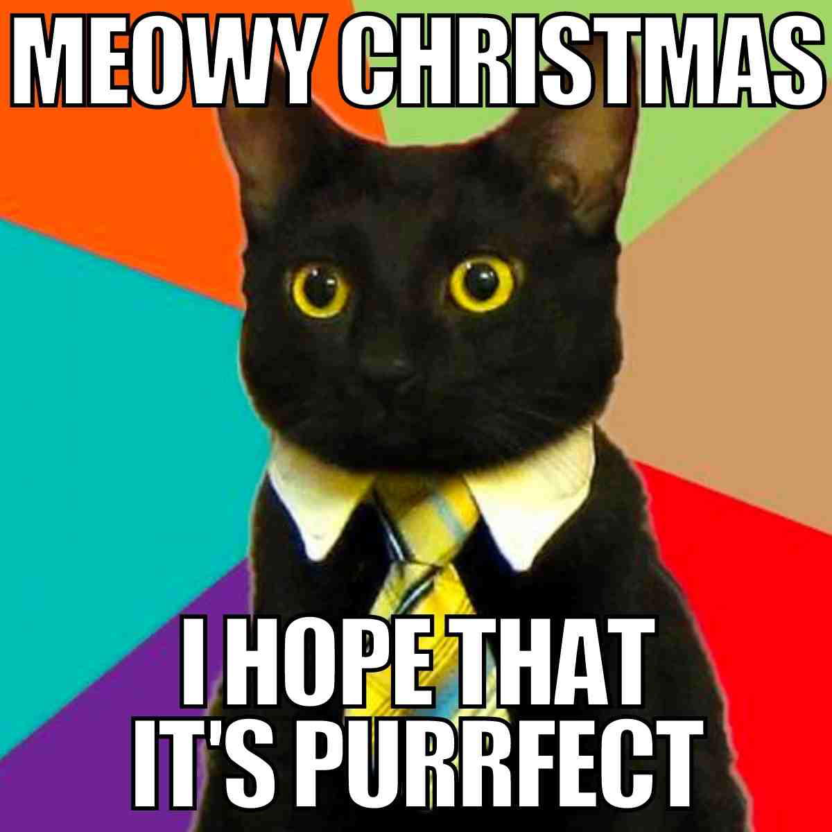 merry christmas meme cat merry christmas i hope that it's purrfect