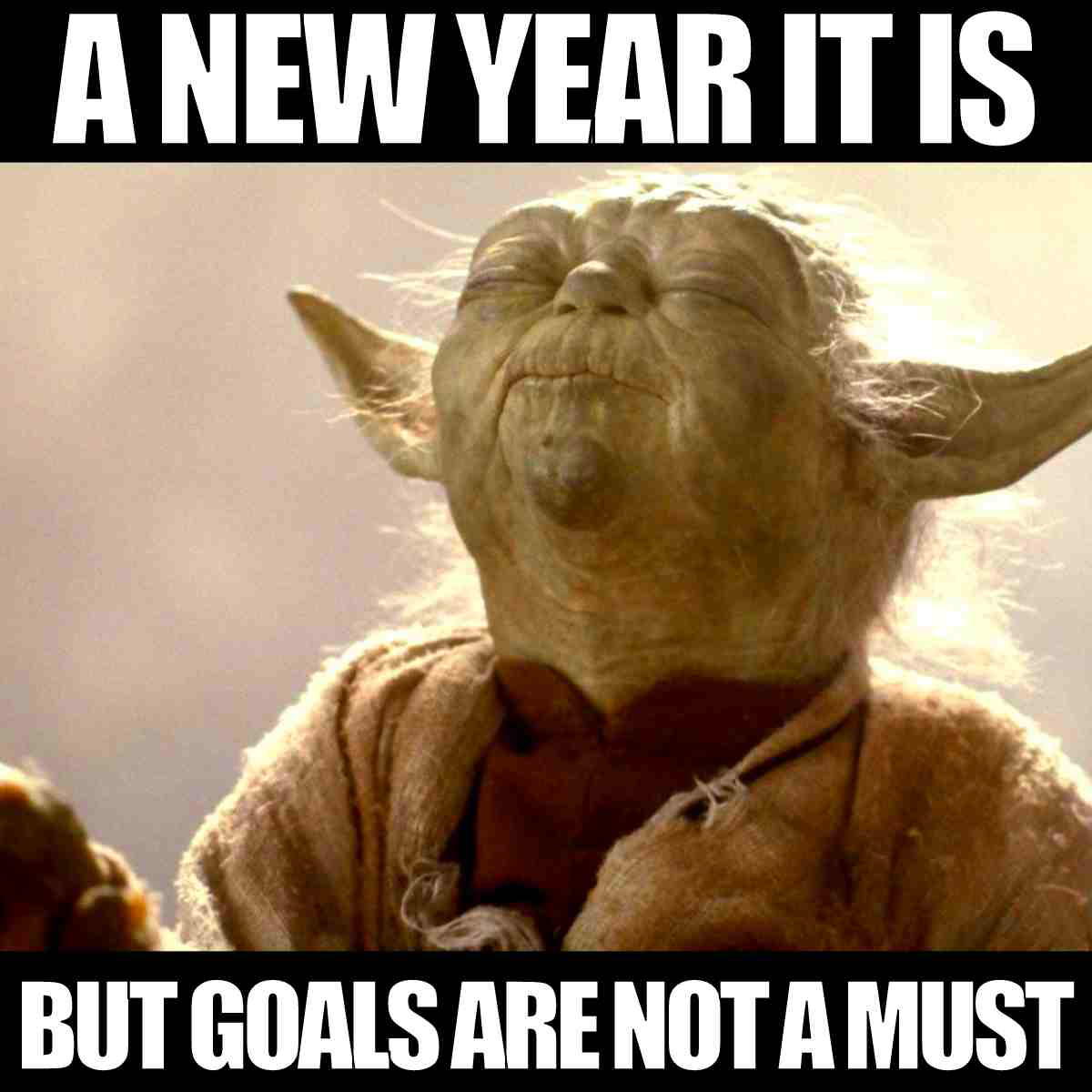 new year goals meme a new year it is but goals are not a must