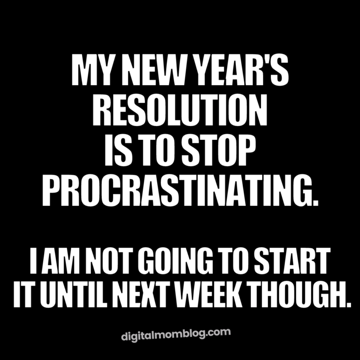Procrastination meme New Year's Procrastination Meme: Text reads 'My New Year's resolution is to stop procrastinating. I am not going to start it until next week though.' The struggle of New Year’s resolutions played out humorously!