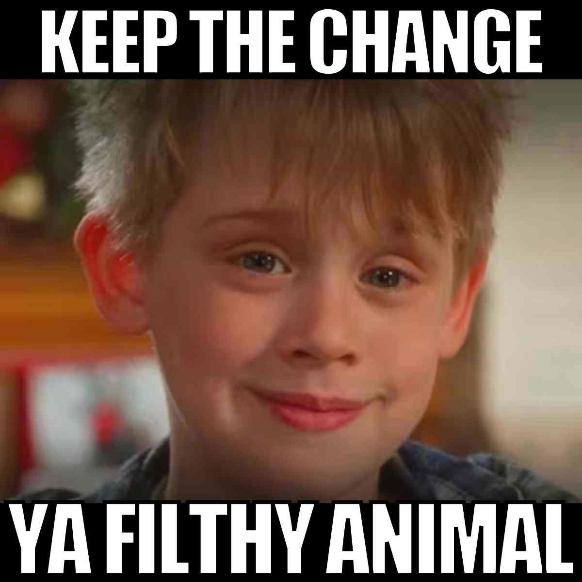 ya filthy animal meme home alone ya filthy animal meme home alone
