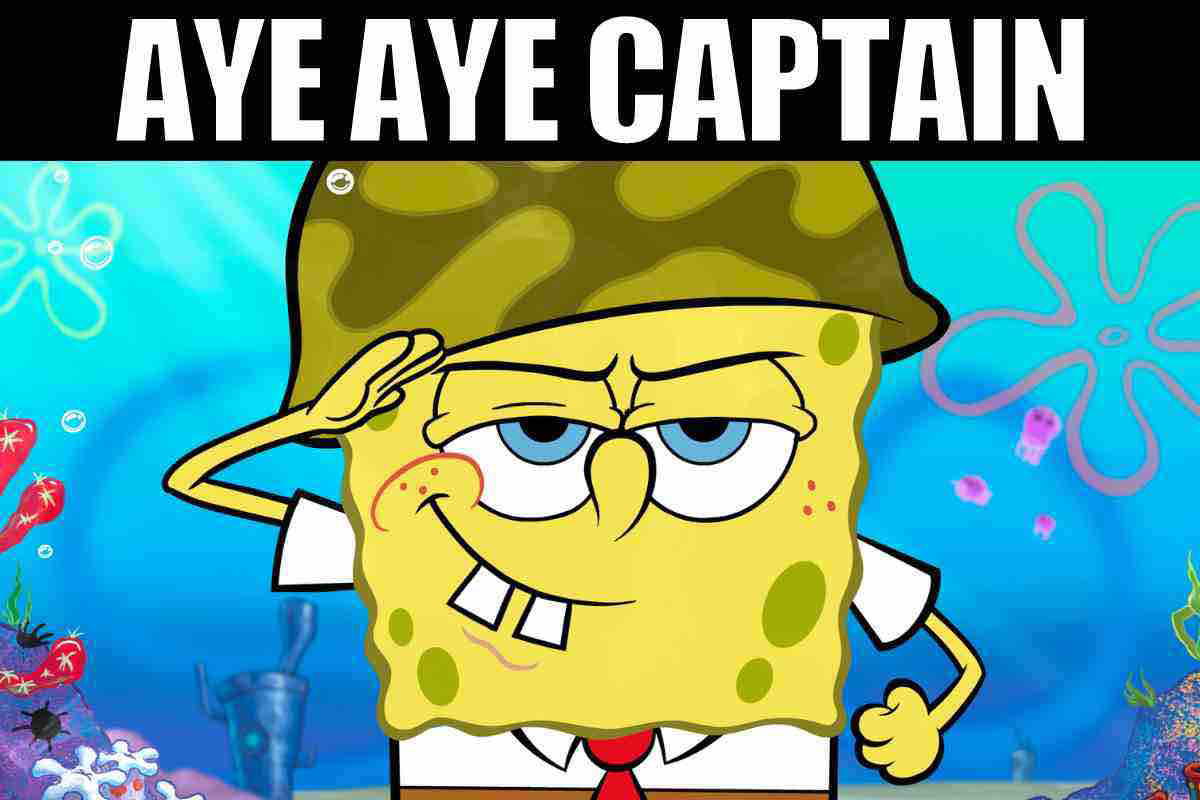 aye aye captain meme aye aye captain