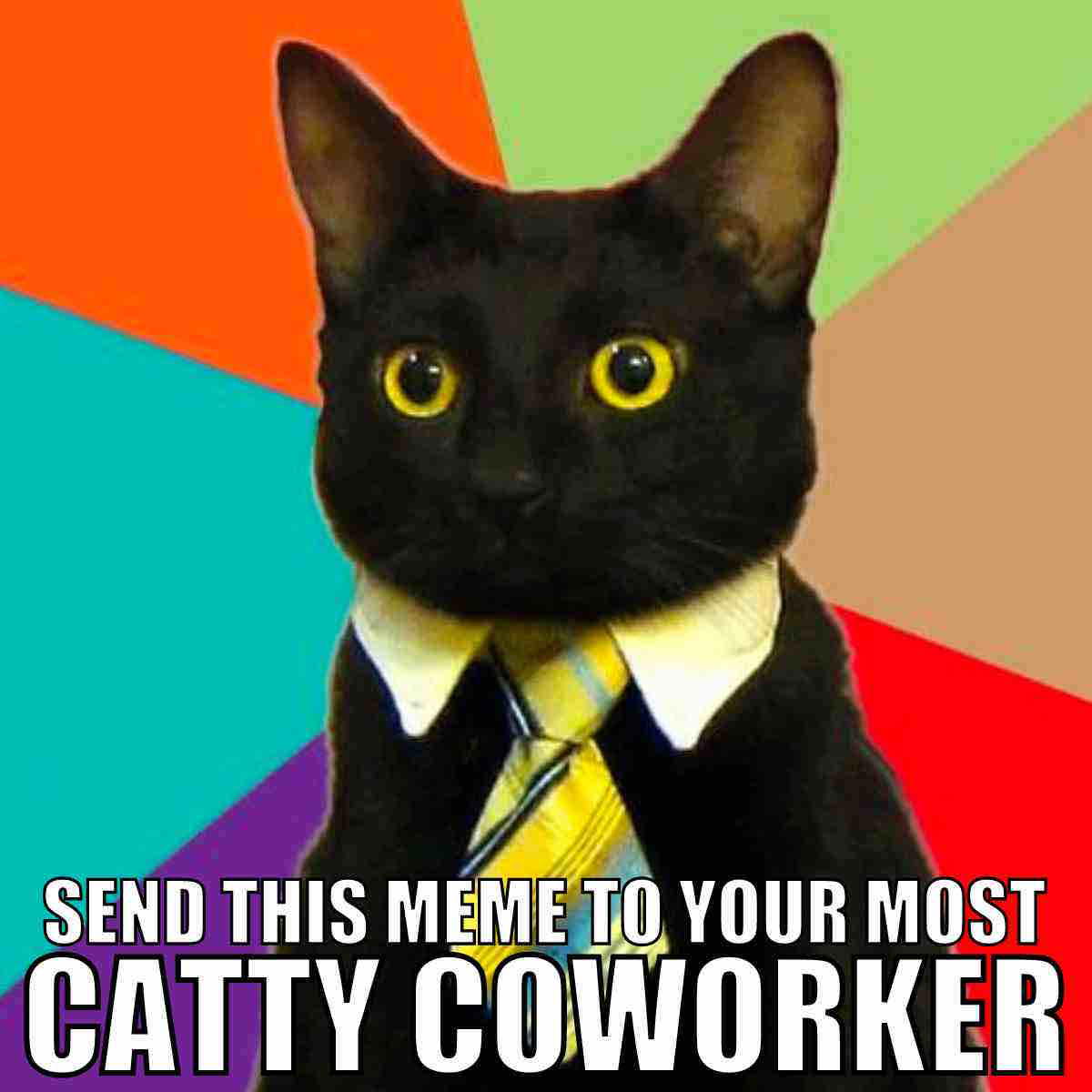 cat coworker meme Humorous meme depicting a black cat in business attire with the text "Send this meme to your most catty coworker," set against a colorful background, often used in workplace humor and coworker meme contexts.