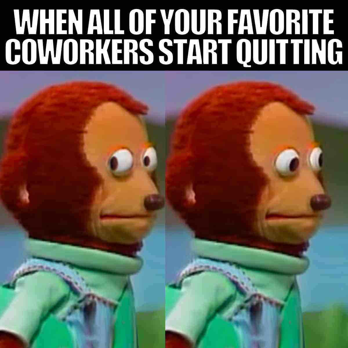funny coworker leaving meme Meme showing a nervous puppet with a caption reading "When all of your favorite coworkers start quitting," used humorously to depict workplace anxiety when colleagues leave.