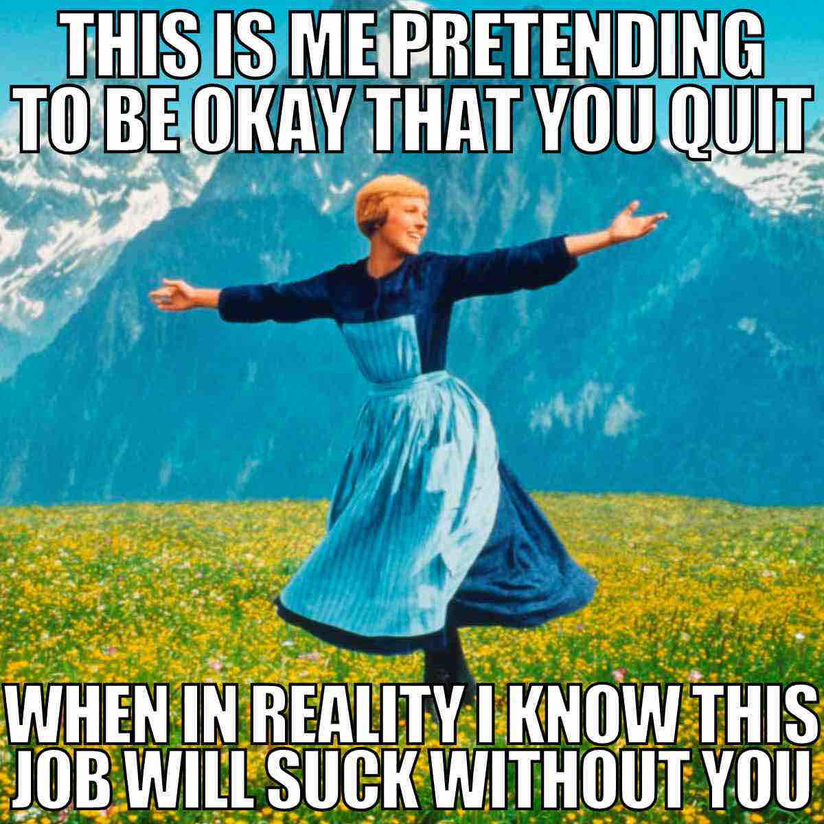goodbye coworker meme A coworker meme featuring a person with arms outstretched on a meadow, with humorous text expressing pretending to be okay about a colleague quitting, while acknowledging the job will be worse without them.