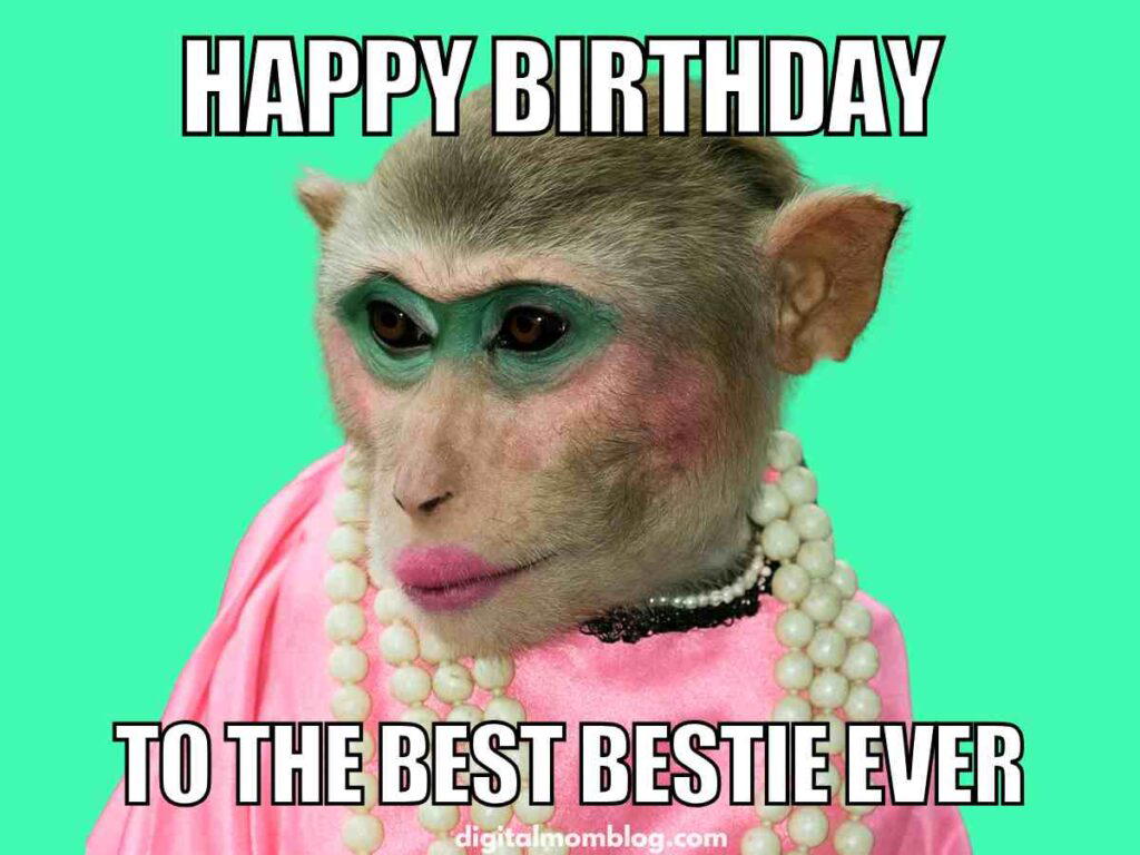 happy birthday bestie meme Funny friend birthday meme featuring a dressed-up monkey in pink clothes, makeup, and pearls with the caption "Happy Birthday to the Best Bestie Ever" on a bright green background.