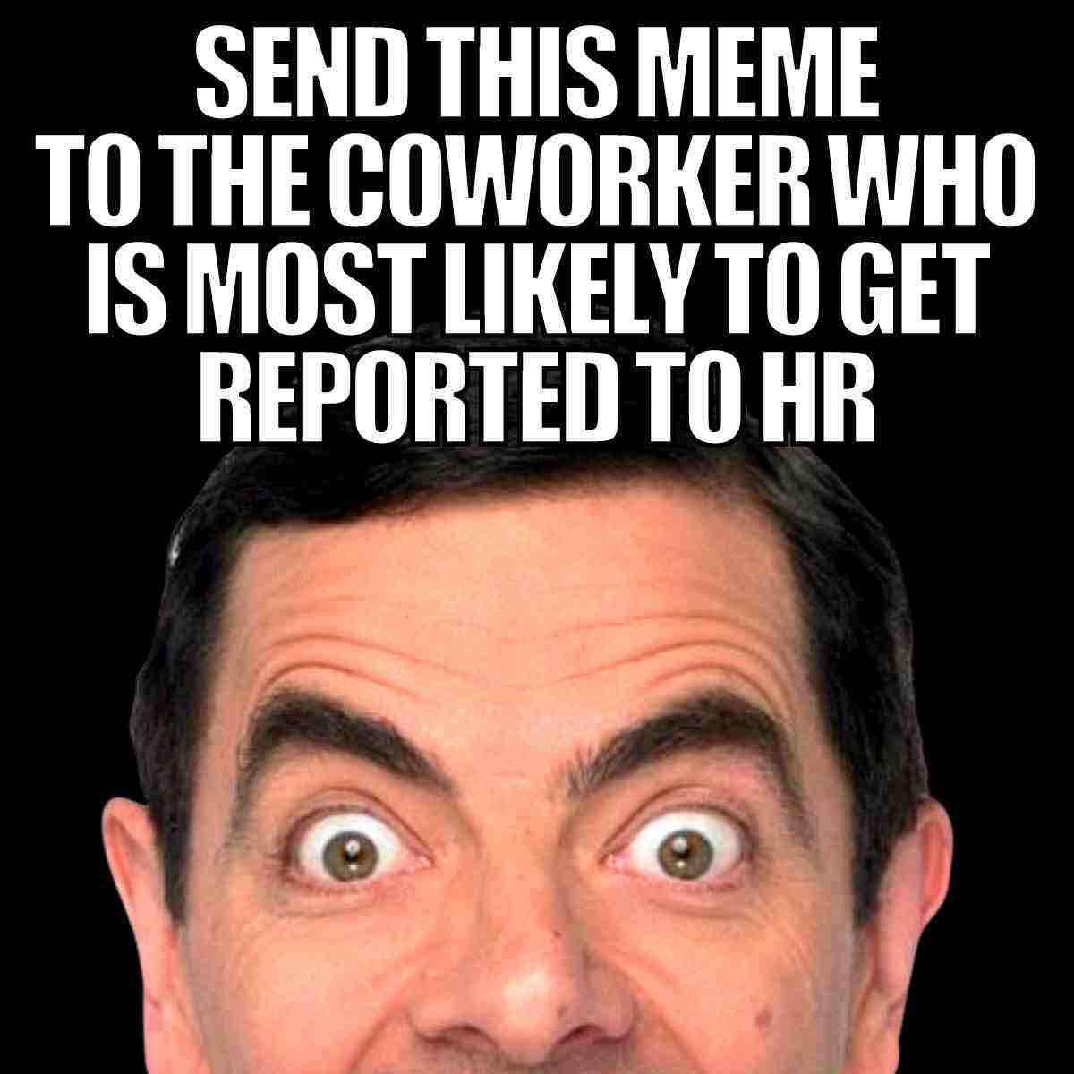 hr coworker meme Funny coworker meme featuring a wideeyed face with the text "Send this meme to the coworker who is most likely to get reported to HR."