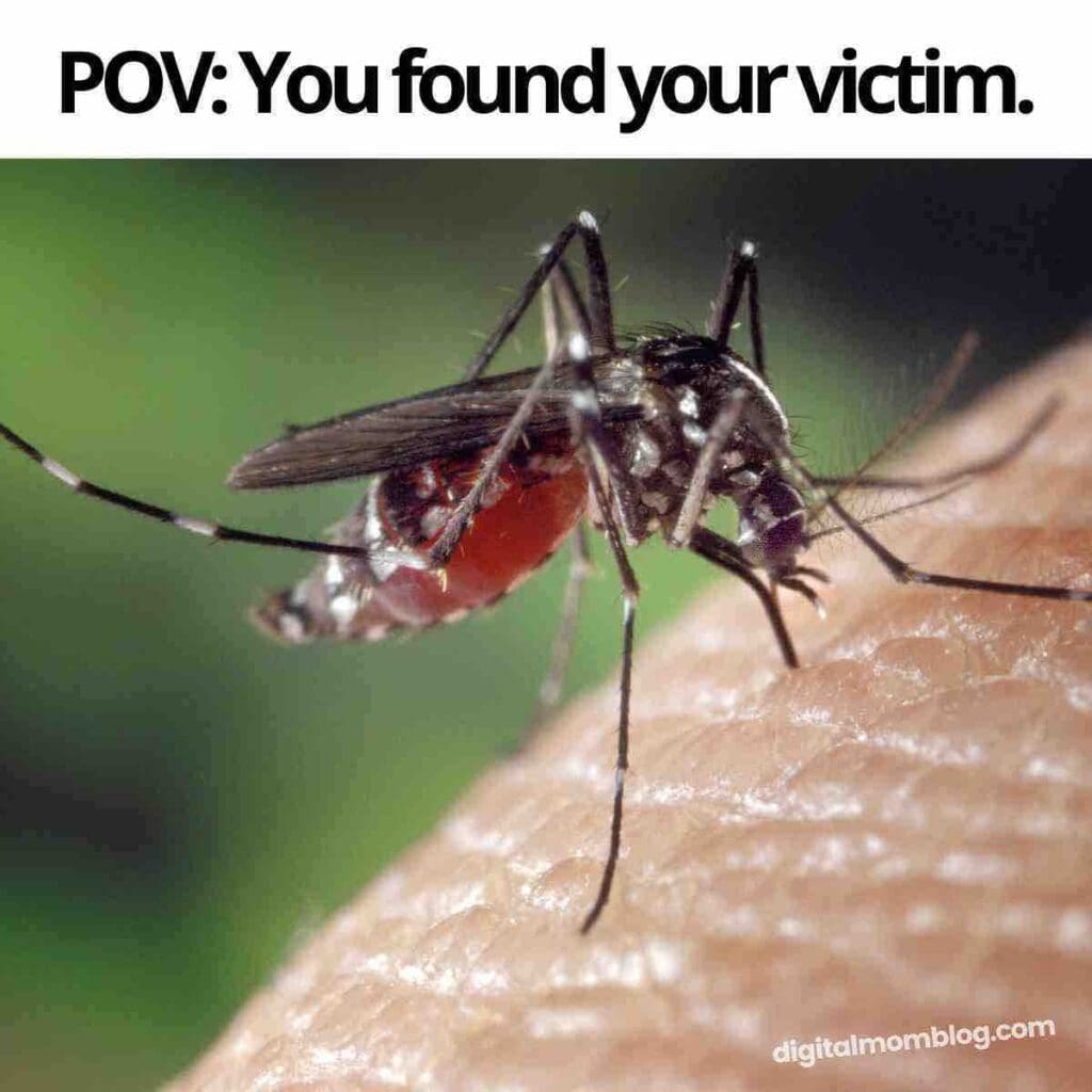 mosquito bite meme POV: You found your victim.