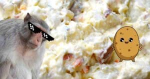 potato salad memes
