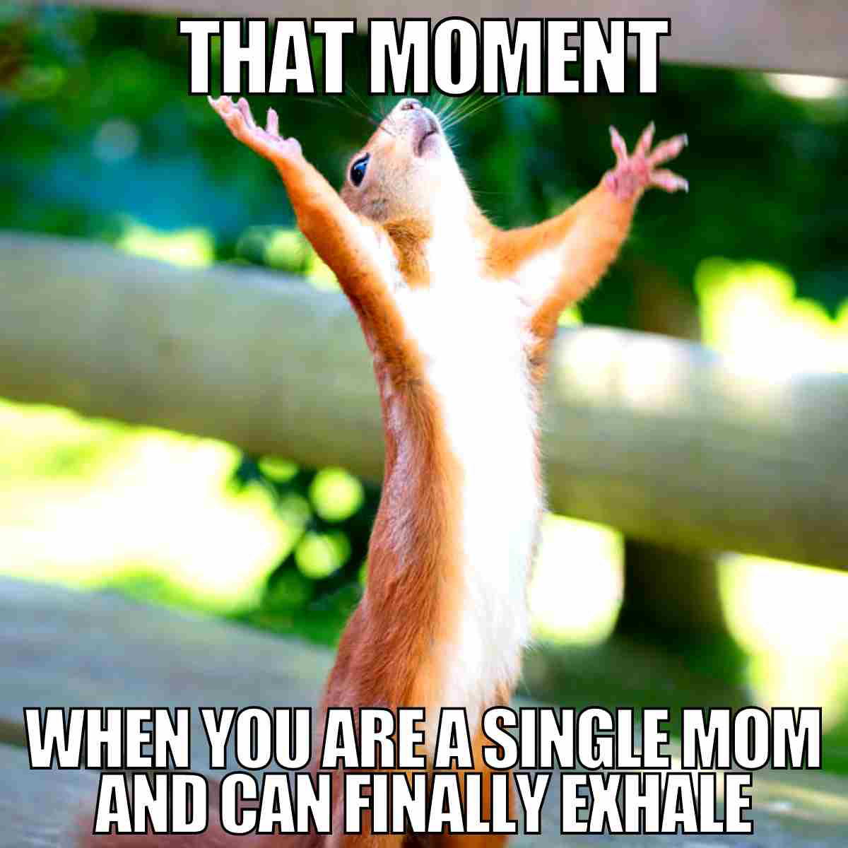 single mom meme that moment when you are a single mom and can finally exhale