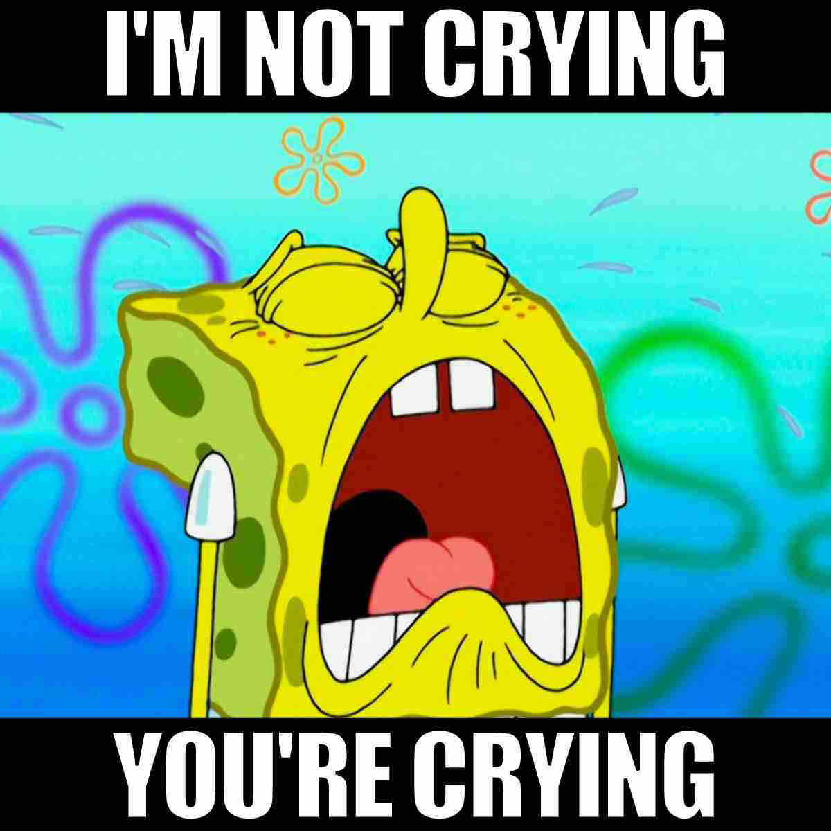 spongebob crying meme i'm not crying you're crying