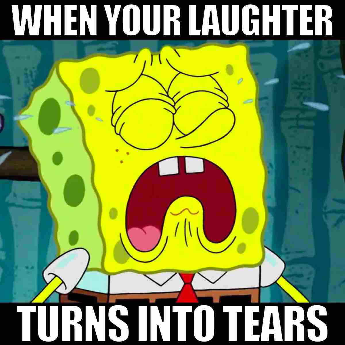 spongebob laughing meme when your laughter turns into tears