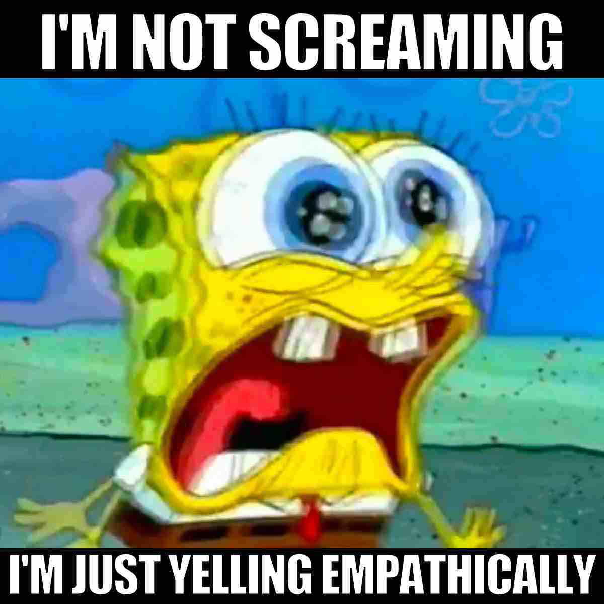 spongebob screaming meme i'm no screaming i'm just yelling empathically