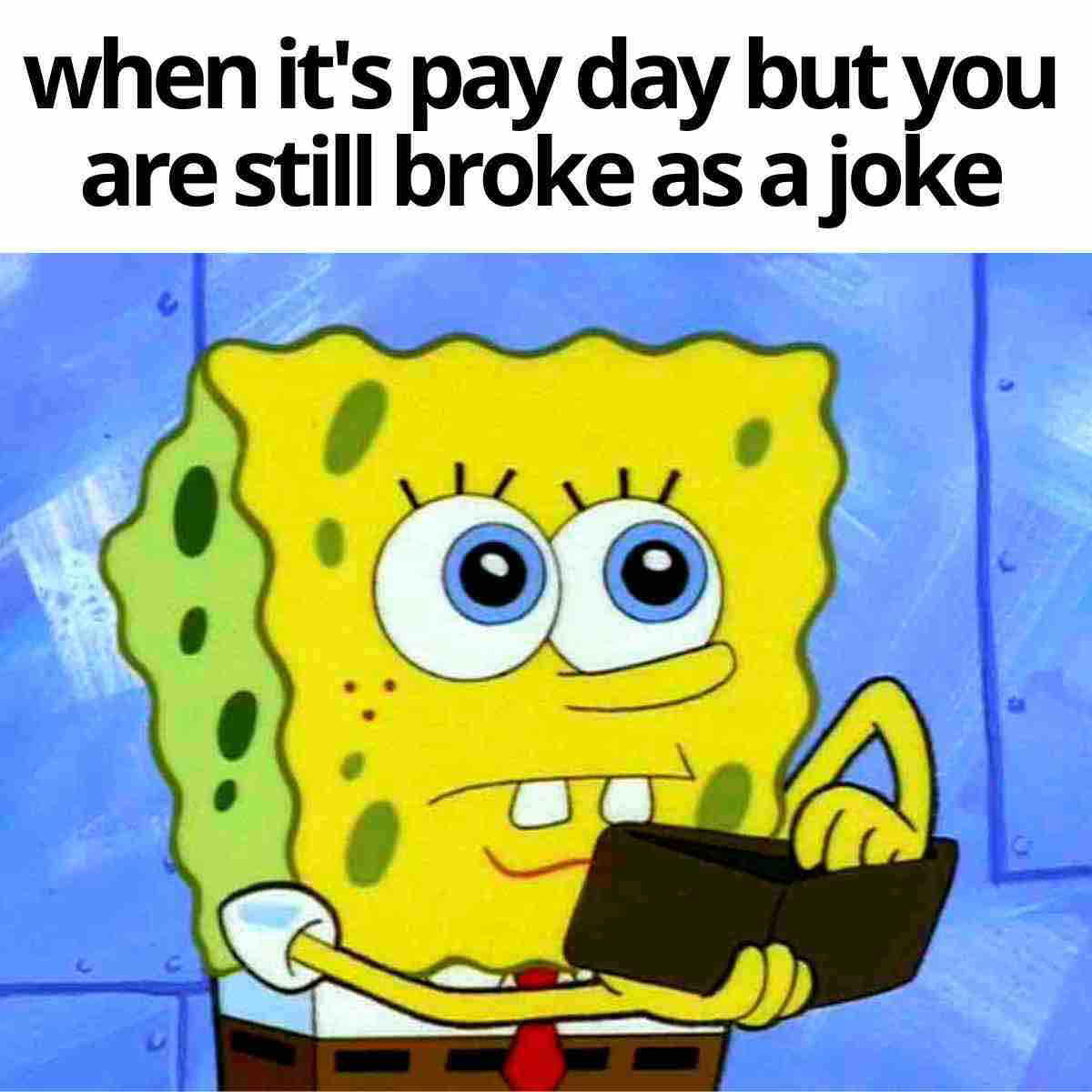 spongebob wallet meme when its pay day but you are still broke as a joke