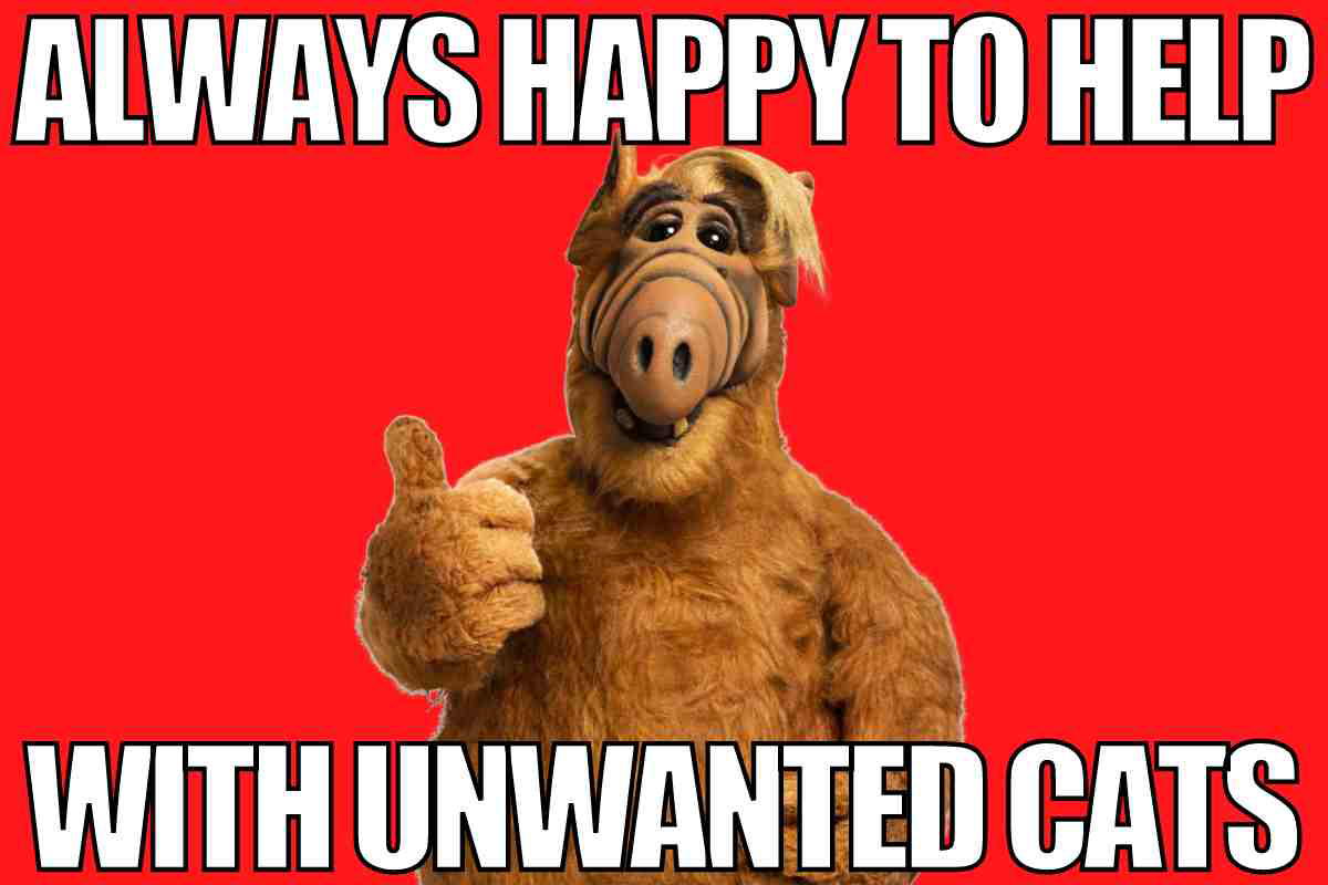 alf cat meme always happy to help with unwanted cats