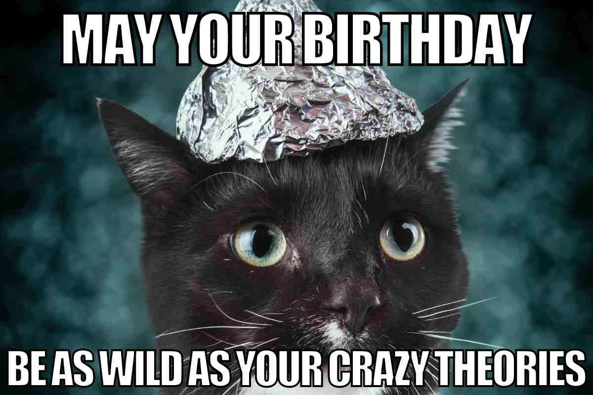 conspiracy birthday meme Funny birthday meme with a cat wearing a tin foil hat, wishing your birthday to be as wild as your craziest theories.