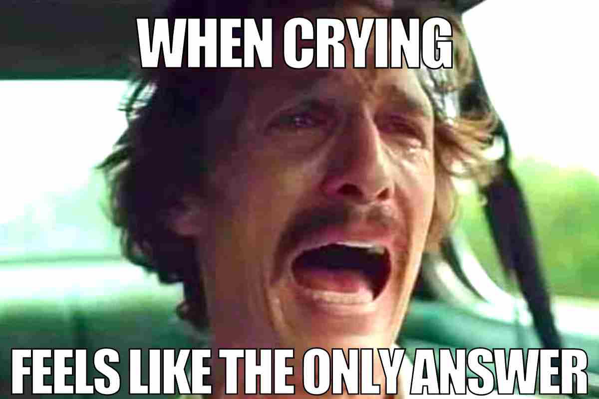 crying face meme when crying is the only answer