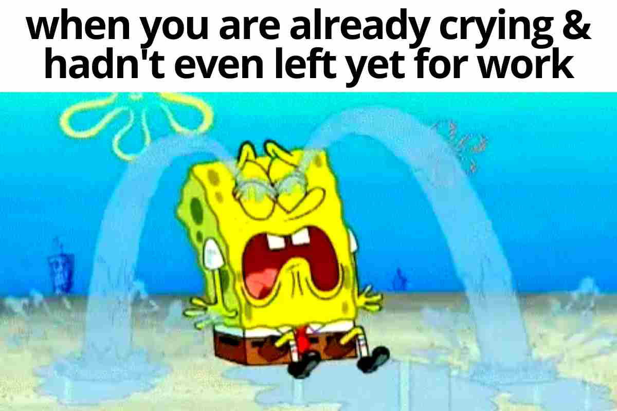 crying work meme A meme featuring a cartoon character crying waterfalls, captioned: 'when you are already crying & hadn't even left yet for work.' Perfectly capturing that prework meltdown mood.