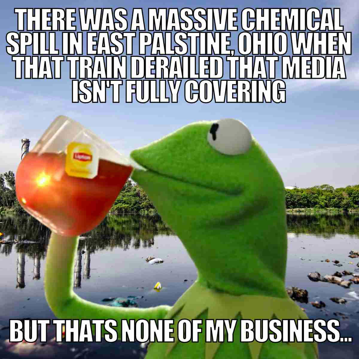 east palentine meme train ohio Humorous meme featuring a puppet sipping tea with a sarcastic caption about a chemical spill in East Palestine, Ohio that media allegedly isn't covering, adding 'But that's none of my business...'