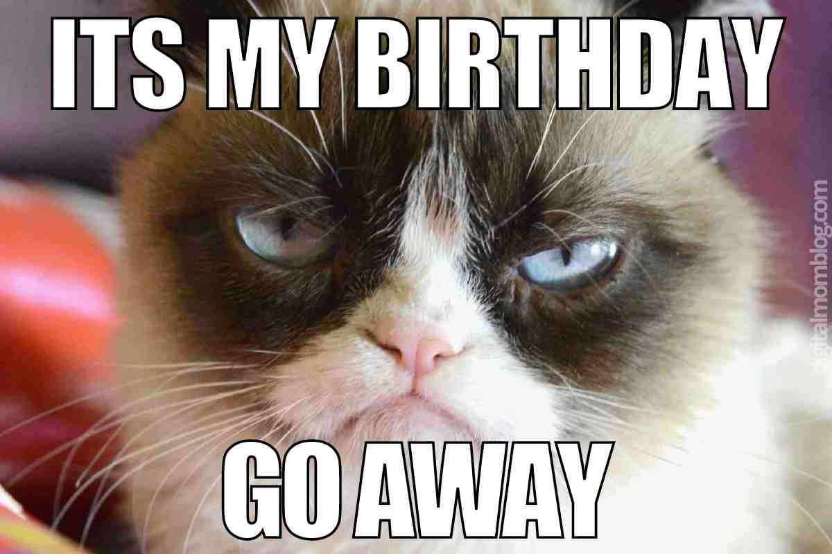 funny my birthday meme Grumpy cat meme saying 'It's my birthday, go away,' capturing a hilariously unwilling birthday vibe.
