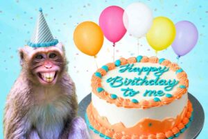 Celebrating its my birthday memes a monkey wearing a party hat smiles widely next to a birthday cake with the text 'Happy Birthday to me' written on it, surrounded by colorful balloons and confetti.