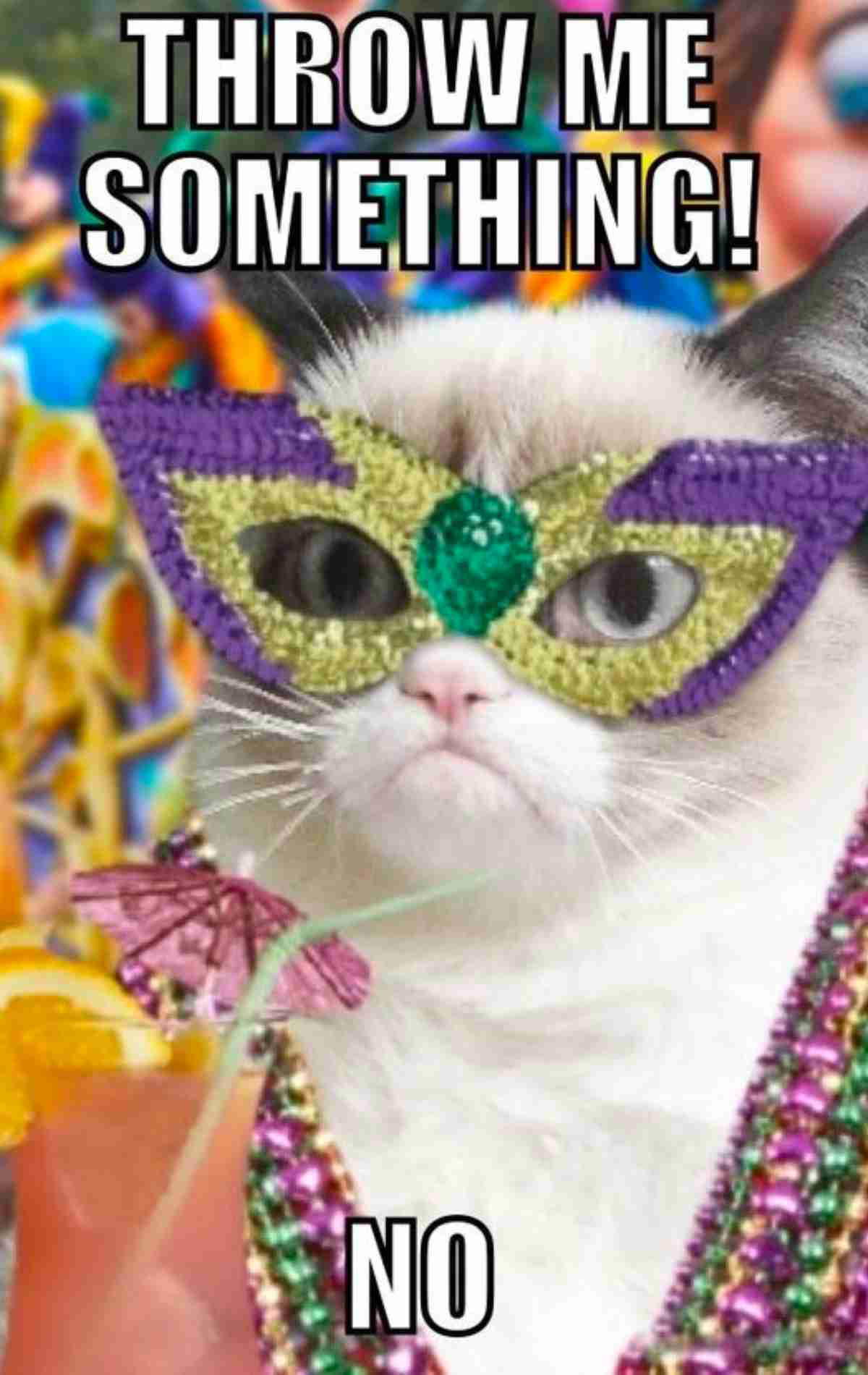 mardi gras beads meme A grumpy cat wearing a colorful Mardi Gras mask with the text 'THROW ME SOMETHING!' at the top and 'NO' at the bottom, adding humor to a Mardi Gras meme.