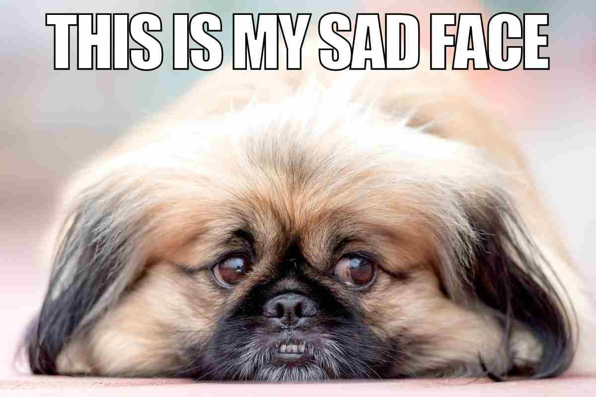 sad face meme sad face meme