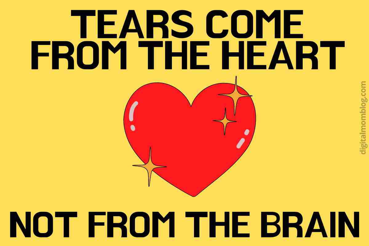 tears meme tears come from the heart not the brain