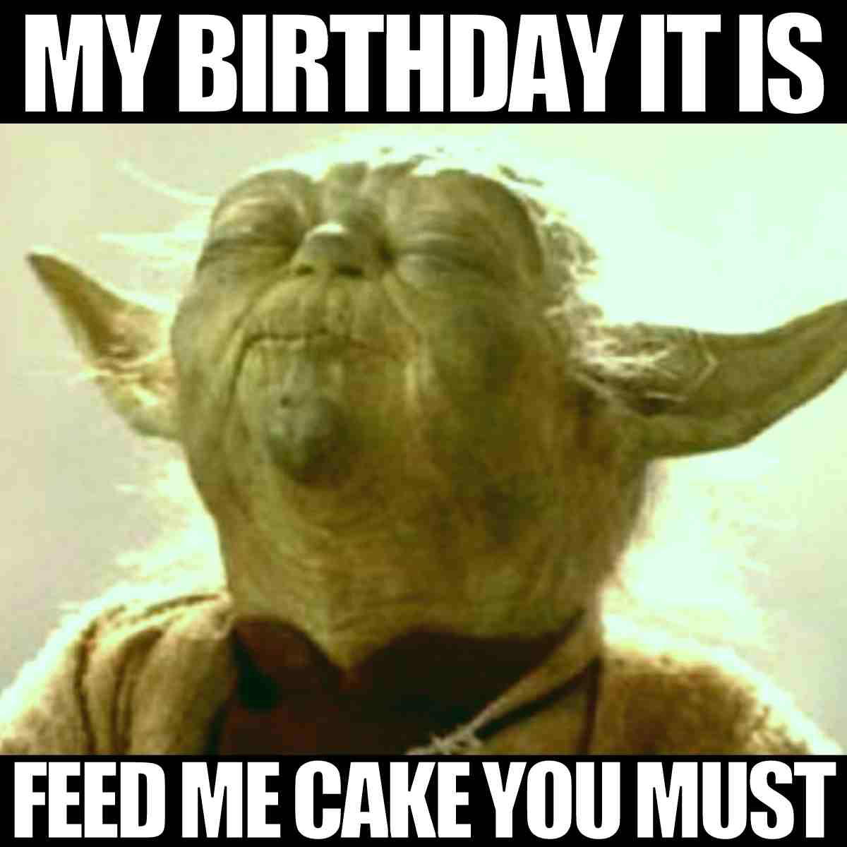 yoda my birthday meme Meme of a green, wisdomrich character smiling serenely with the text, 'MY BIRTHDAY IT IS, FEED ME CAKE YOU MUST,' humorously commanding cake on their special day.