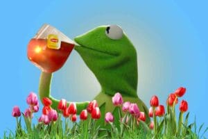 A humorous meme of a green frog sipping tea smugly, surrounded by blooming tulips under a bright blue spring sky, embracing the 'but that's none of my business' vibe.
