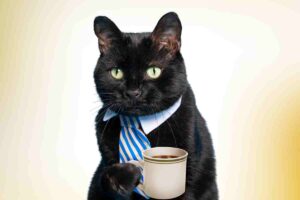 funny cat drinking coffee with a tie reading good morning memes