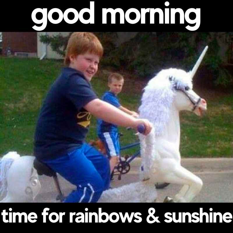 Short Funny Good Morning Memes For Her Infoupdate