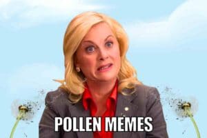 pollen memes